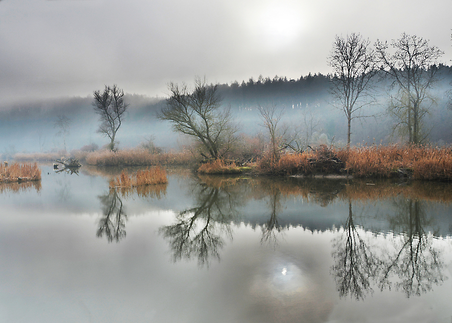 auenlandschaft am antoniberg klein 20150601 1228432644