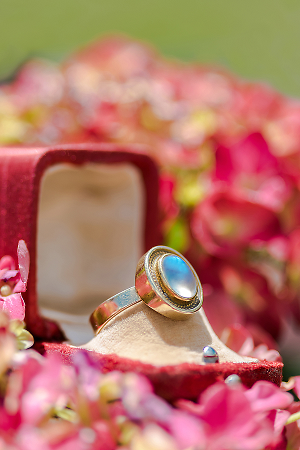 evi wolfsauge 20190530 2093027227