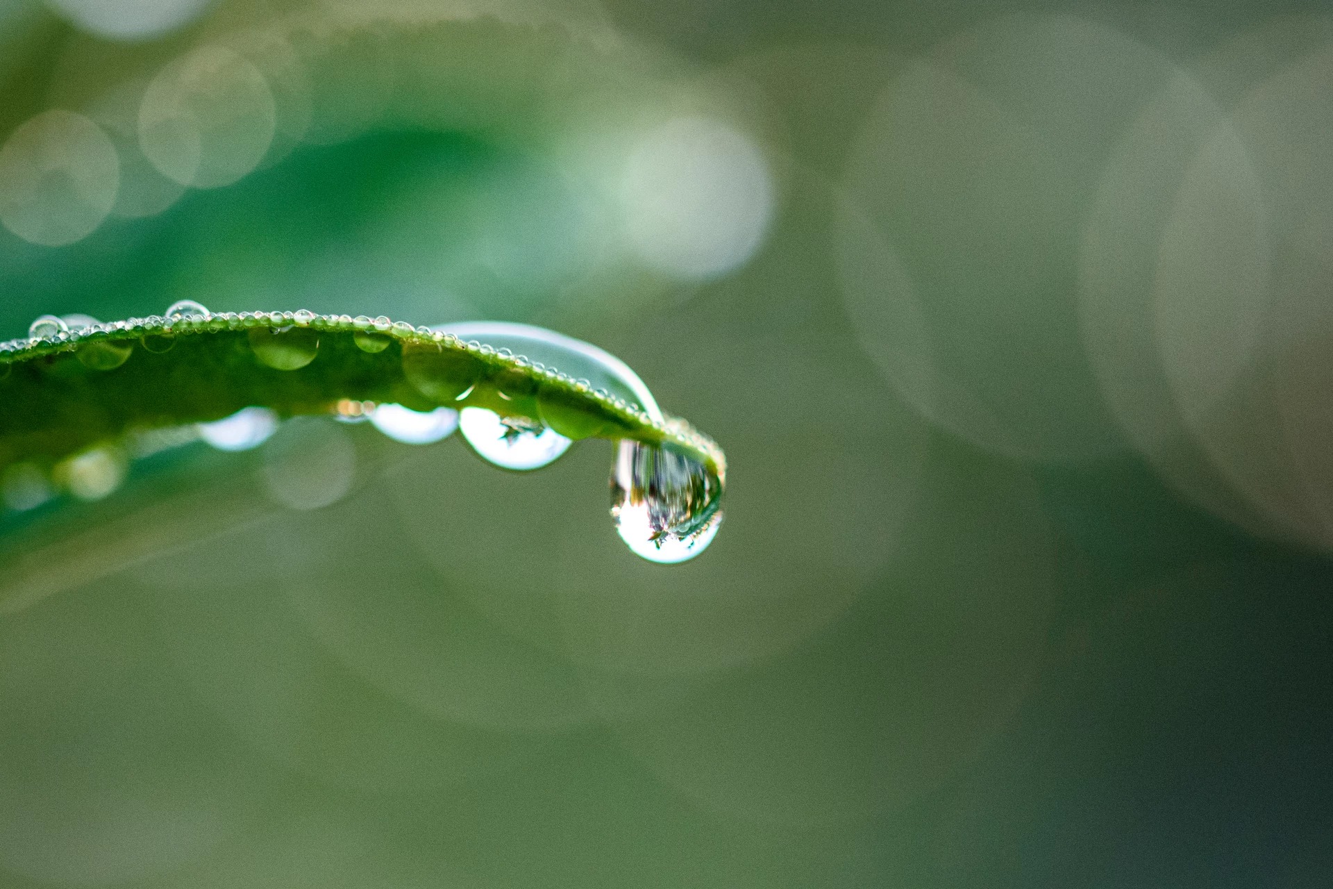 10platz nach dem regen von alfred heigl 20231220 1556623493