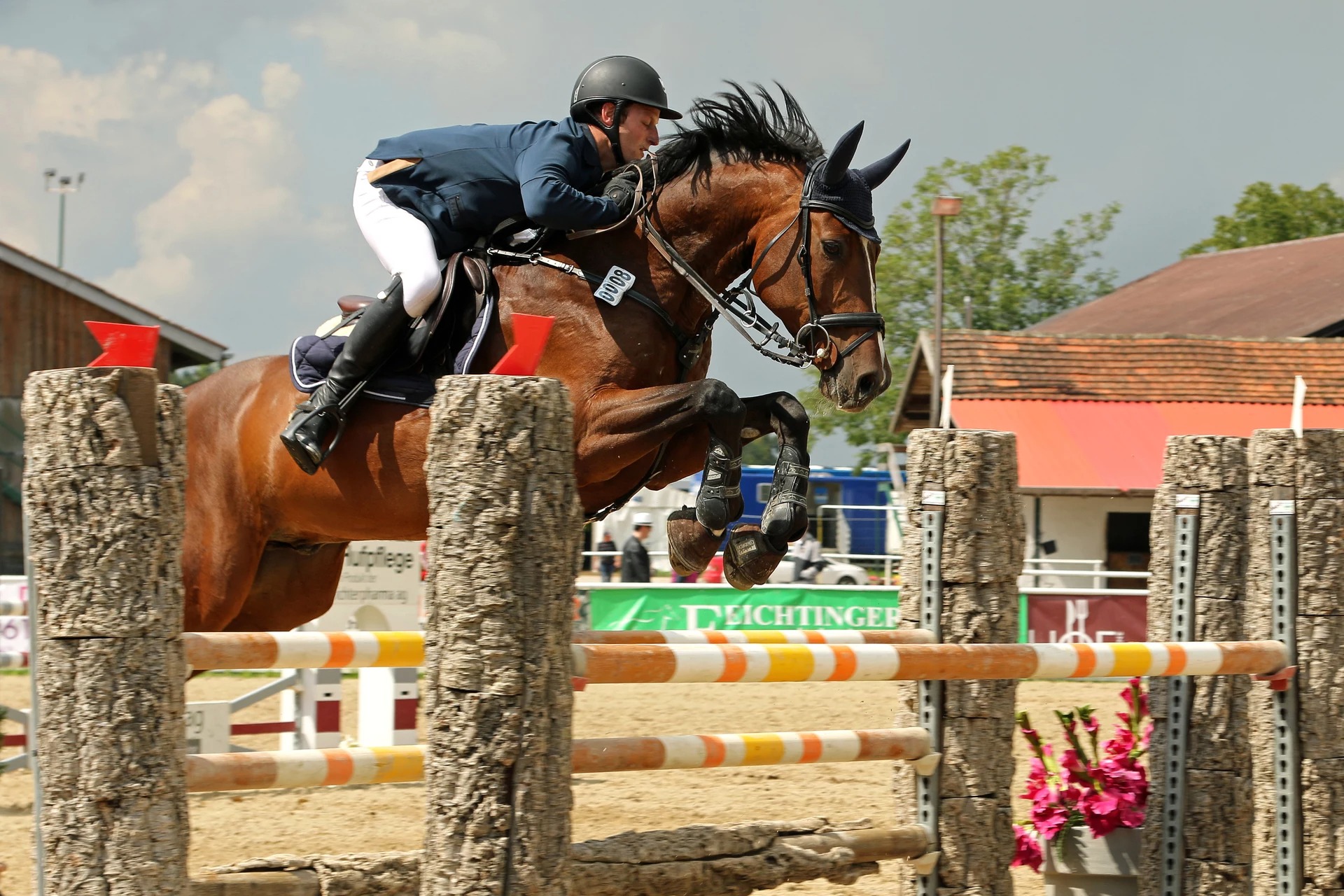 6platz abgehoben von ruth hase 20240814 1999630081