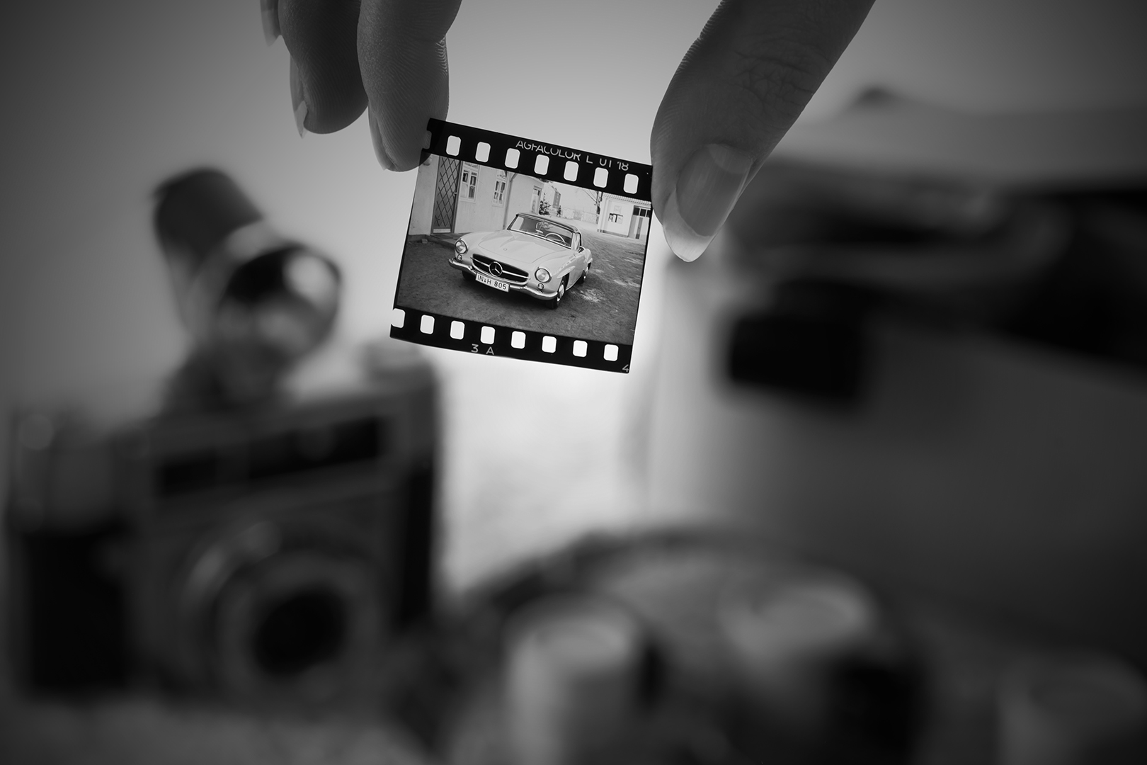 evi memories 20191120 1792855793