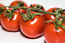 Tomaten