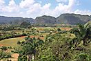 Vinales