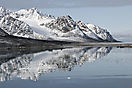 Landschaftsspiegelung im Magdalenen-Fjord